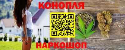 мдпв Аргун