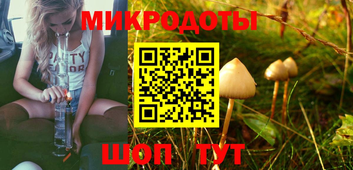 Галлюциногенные грибы прущие грибы Архангельск