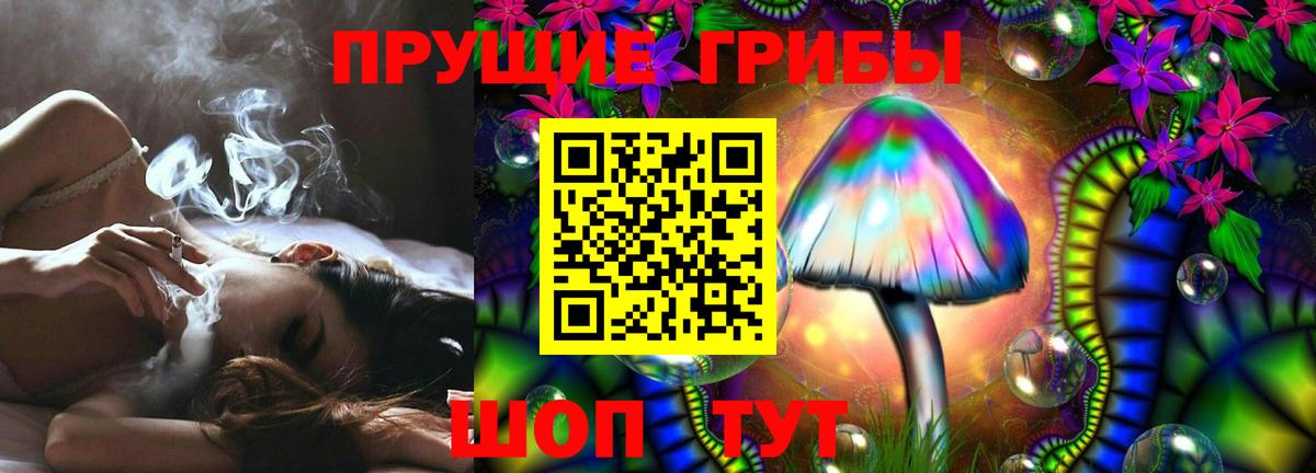 Архангельск  Псилоцибиновые грибы Cubensis  Вход с VPN 